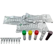 Mira Porcine Pseudorabies ویروس GE ژن تشخیص فلورسانس کیت